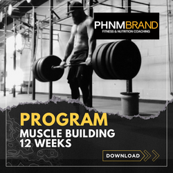 12 Week Muscle Building Workout Plan