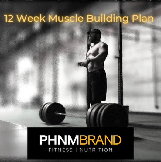 12 Week Muscle Building Workout Plan